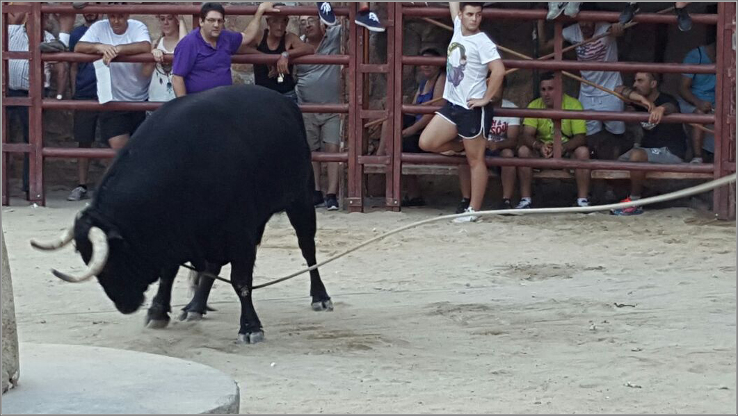 2_toro_2016_019_Damian