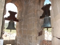 resized_DSC_2225