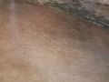 resized_DSC_2280