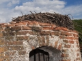 resized_DSC_2308