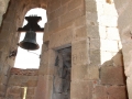 resized_DSC_2376