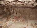 resized_DSC_2391