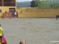 Toro_27