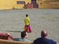 Toro_28