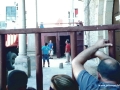 Toro_37