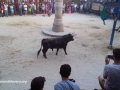 Toro_101